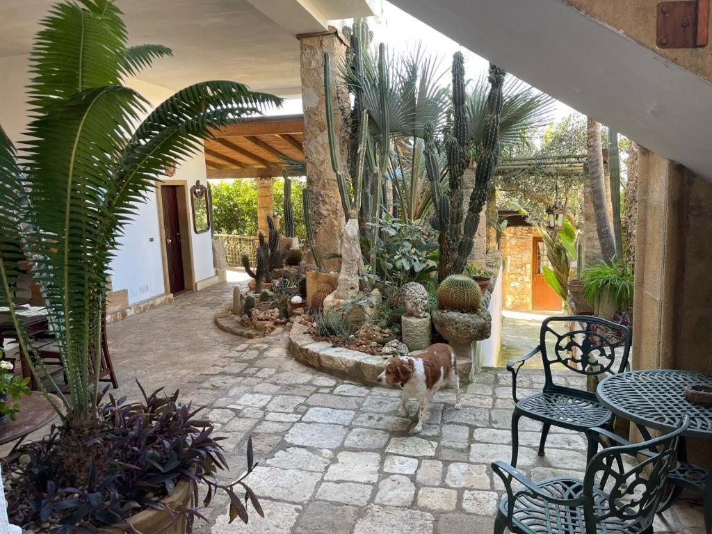 Felline In Bed&Breakfast Dimora Di Charme El Salento Zewnętrze zdjęcie