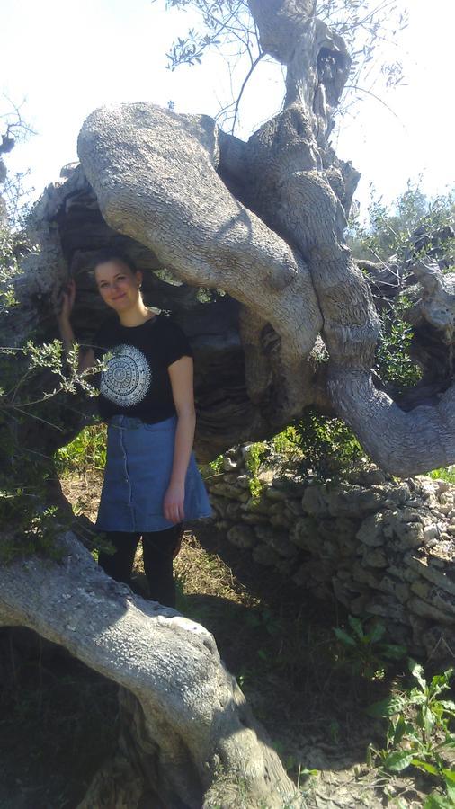 Felline In Bed&Breakfast Dimora Di Charme El Salento Zewnętrze zdjęcie